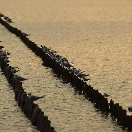 Perda Bianca Relais * Quartu Sant'Elena