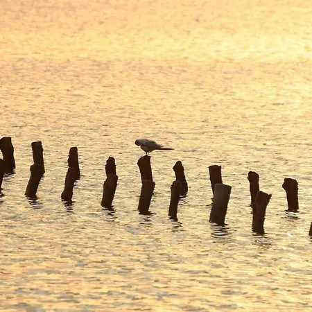 Appartamento Perda Bianca Relais *