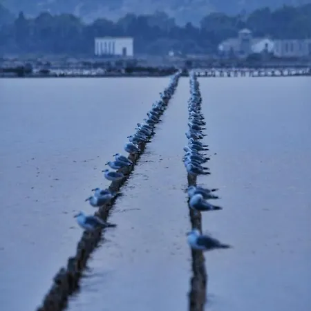 Perda Bianca Relais Apartman