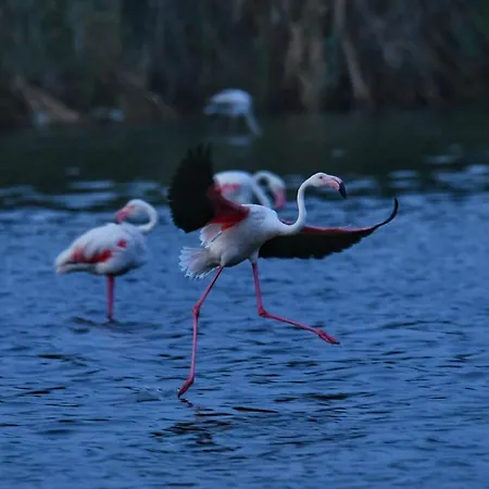 Apartman Perda Bianca Relais