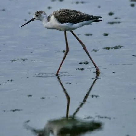 Apartman Perda Bianca Relais *