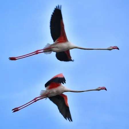 Perda Bianca Relais Apartman Quartu SantʼElena