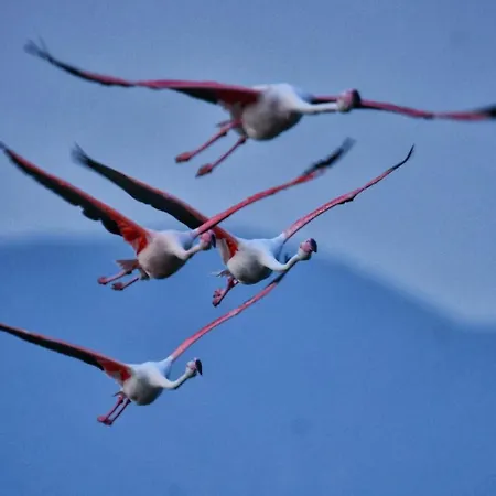 Perda Bianca Relais * Quartu SantʼElena