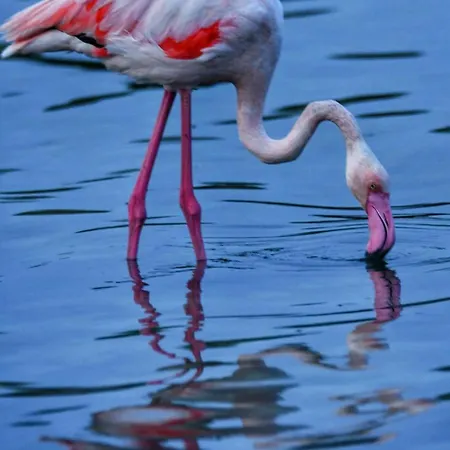 Apartman Perda Bianca Relais *